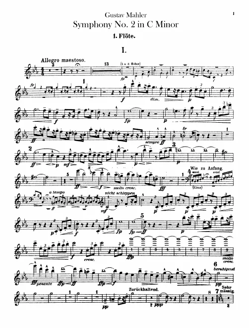 Flute 1/Piccolo 3