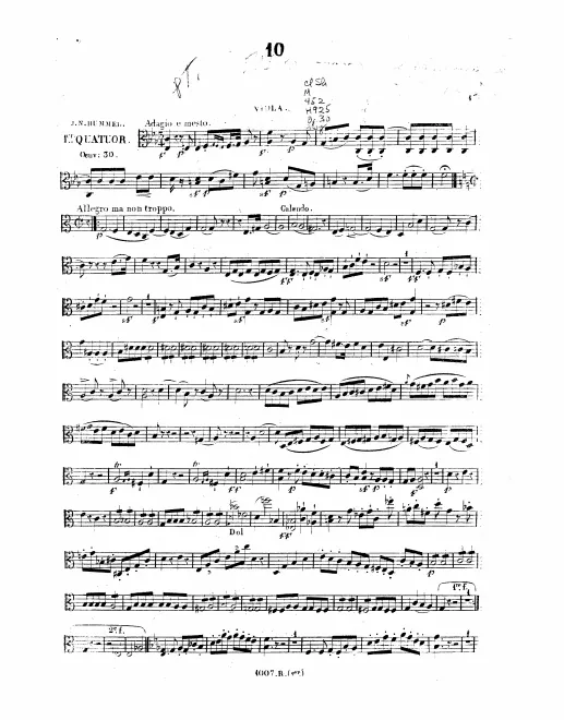 Viola