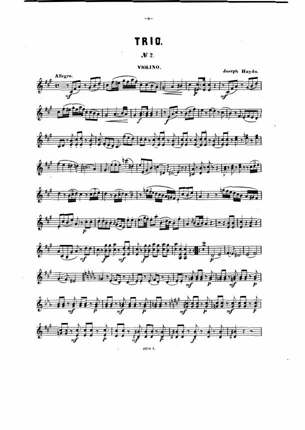 Violin