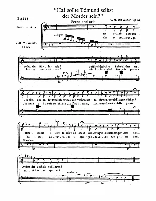 Cellos/Basses