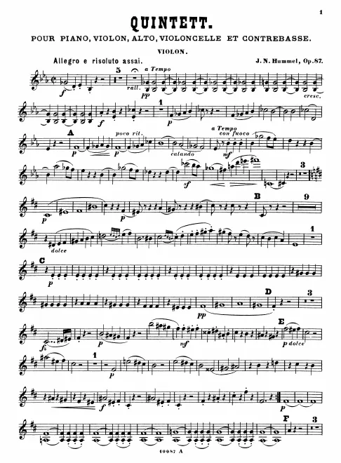 Violin