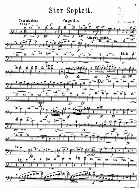 Bassoon