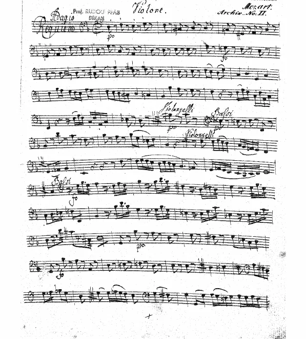 Cellos/Basses