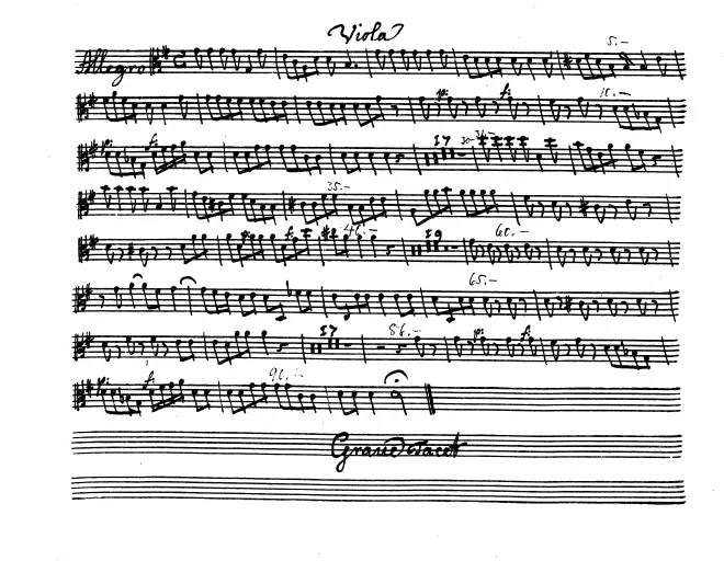 Violas