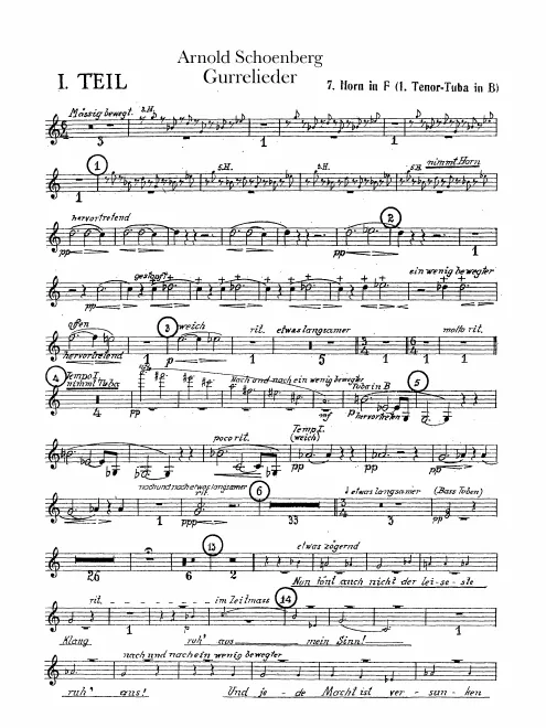 Horn 7 (F)/Tenor Wagner Tuba 1 (B)