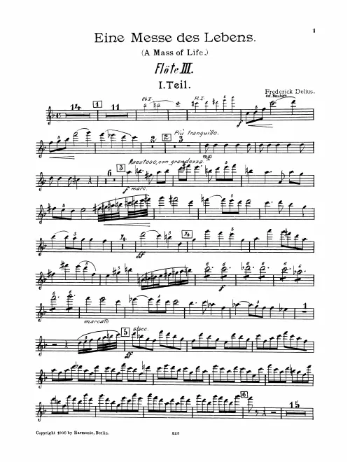 Flute 3