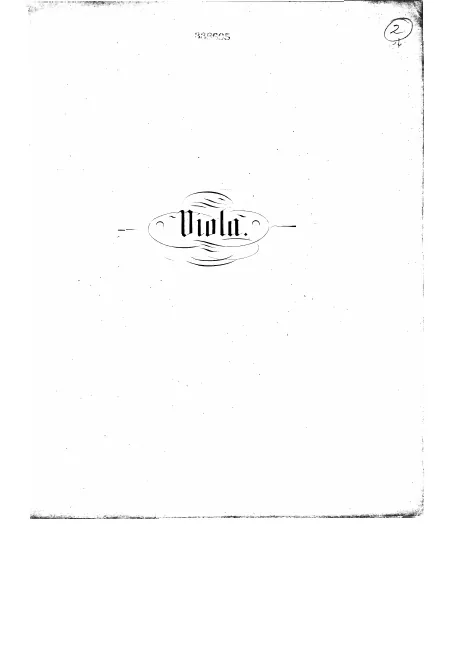 Viola
