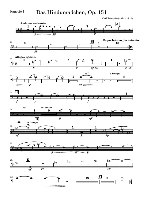 Bassoon 1
