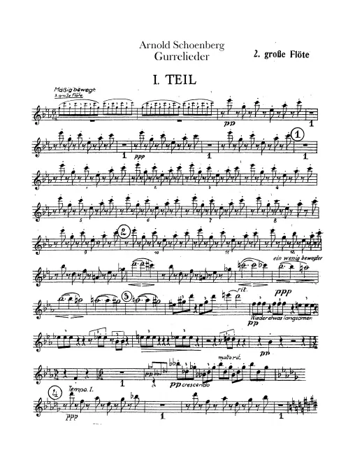 Flute 2