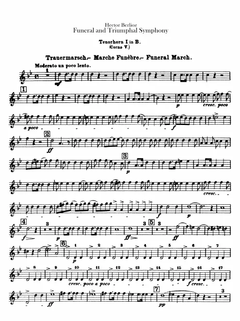 Horn 5 (B)