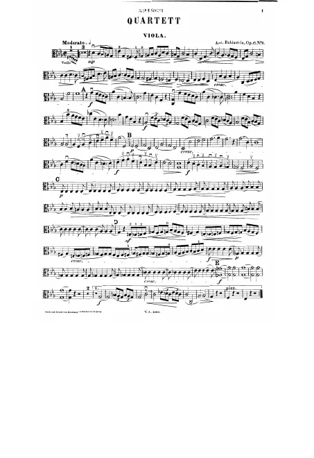 Viola