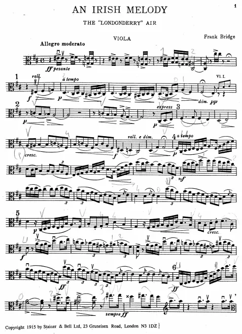 Viola