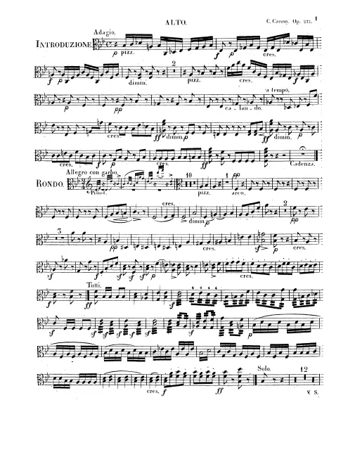 Violas