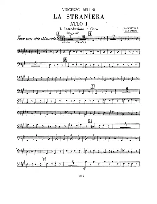 Bassoon 1