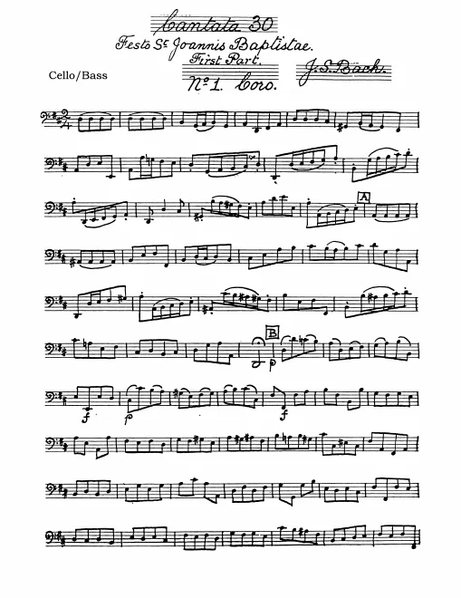 Cellos/Basses