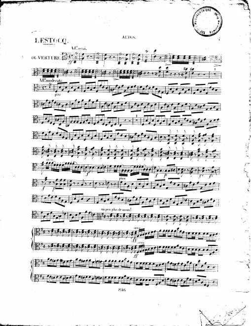 Violas