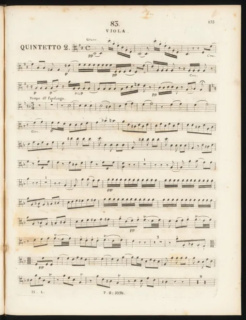 Viola
