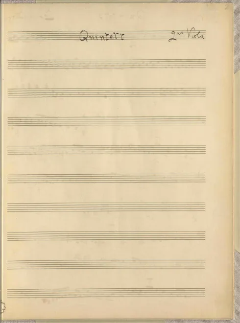 Viola 2