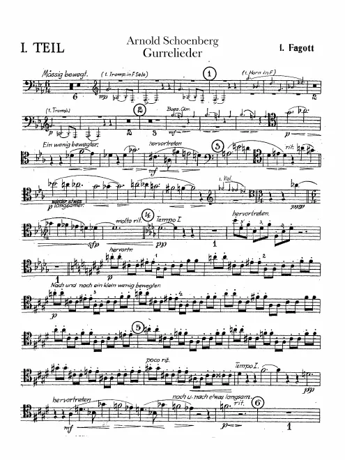 Bassoon 1
