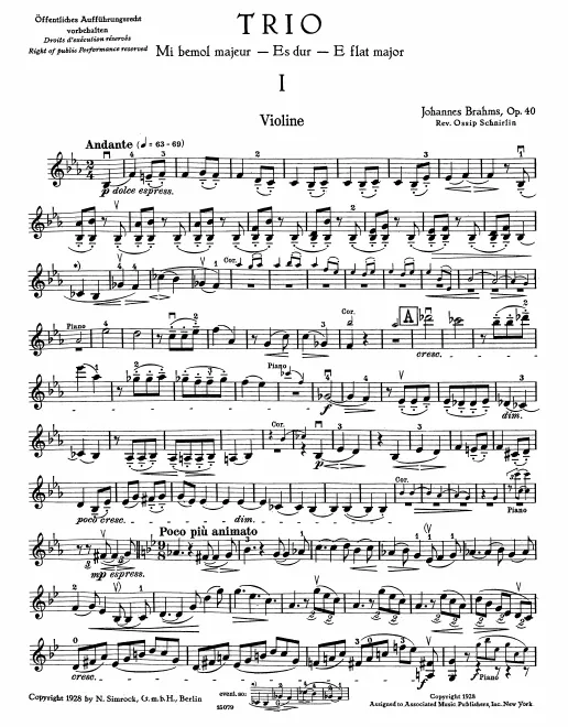 Violin