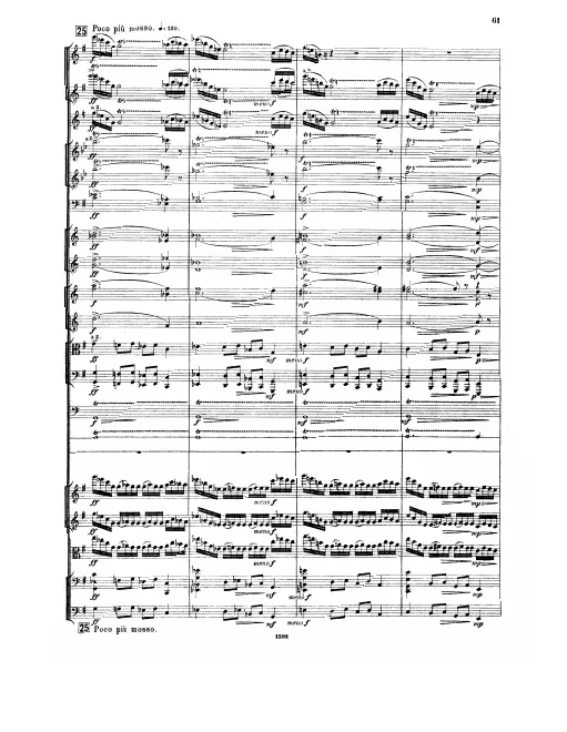 Segment 3