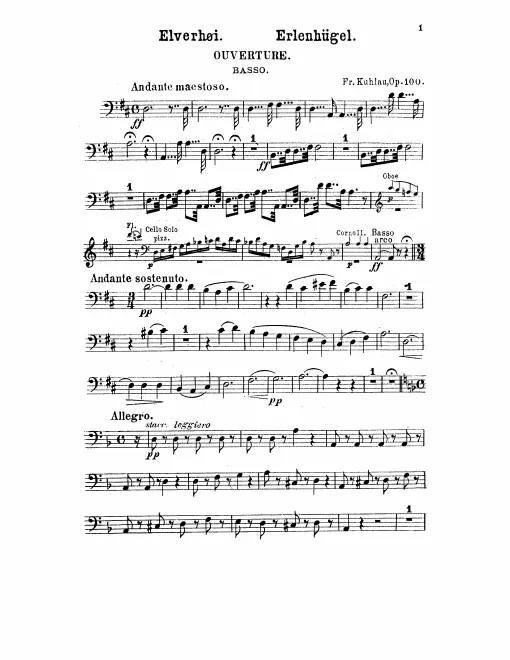 Basses