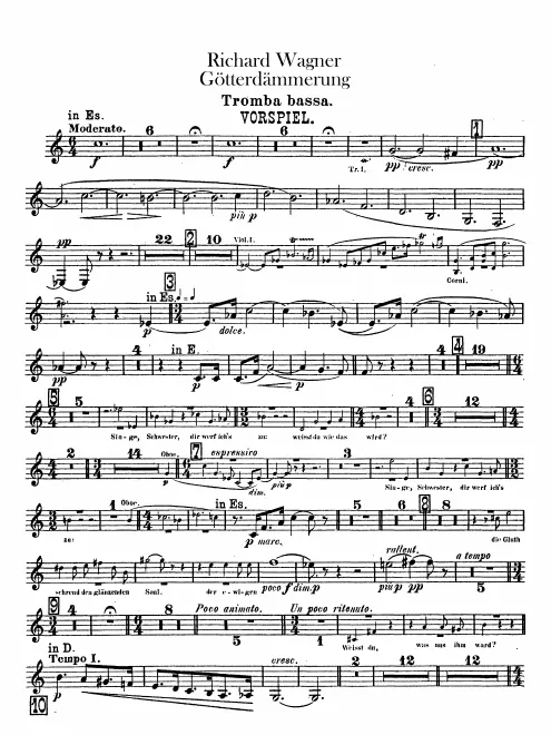 Bass Trumpet (C/D/E♭/E)