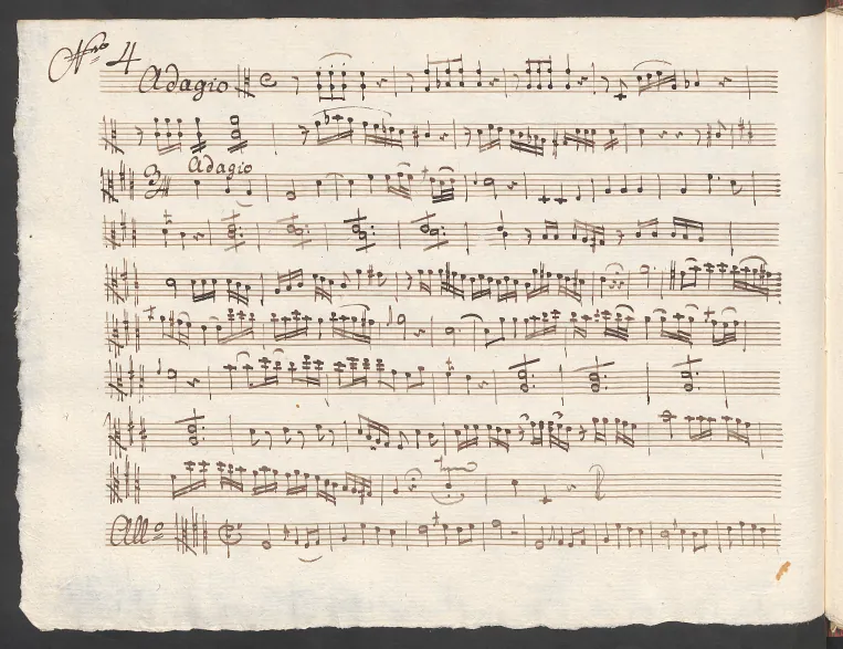 Viola