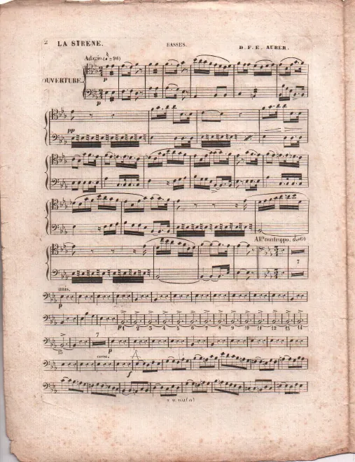 Cellos/Basses
