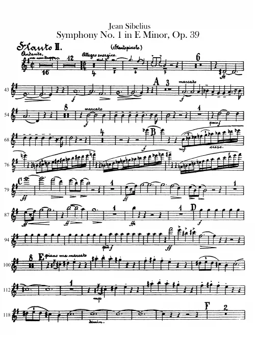 Flute/Piccolo 2