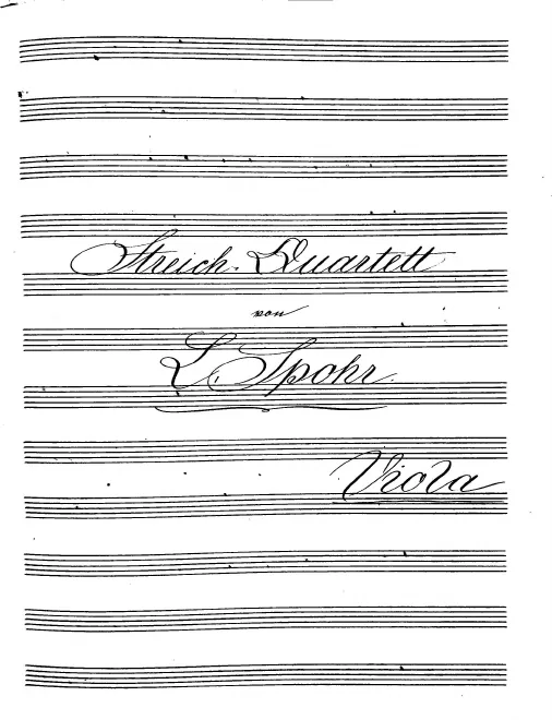Viola