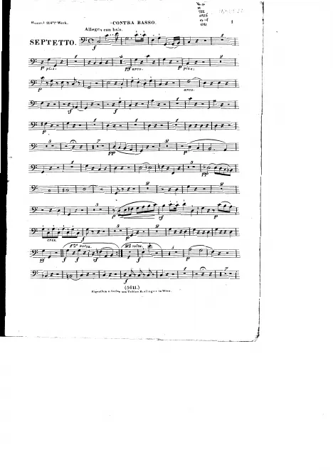 Double Bass