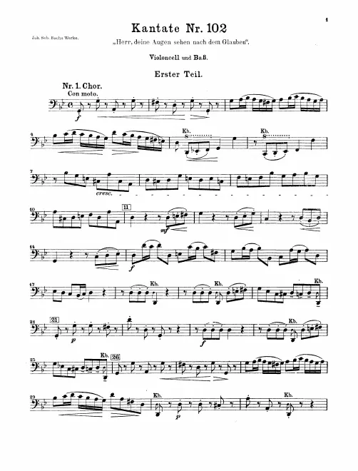 Cellos/Basses