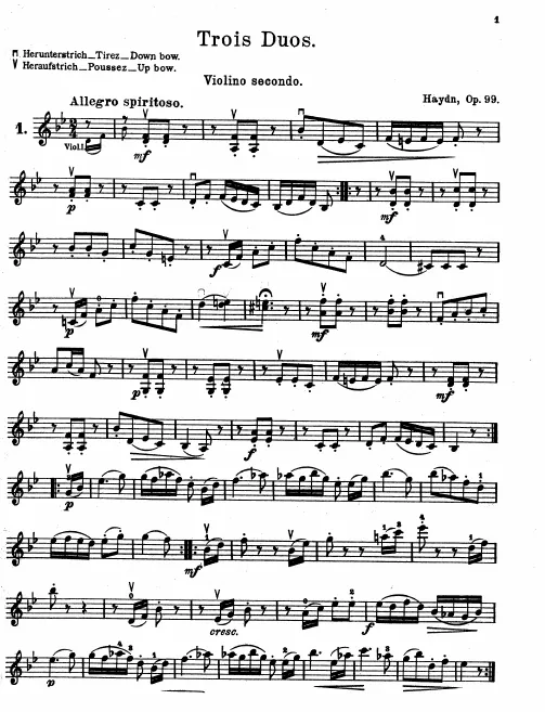 Violin 2