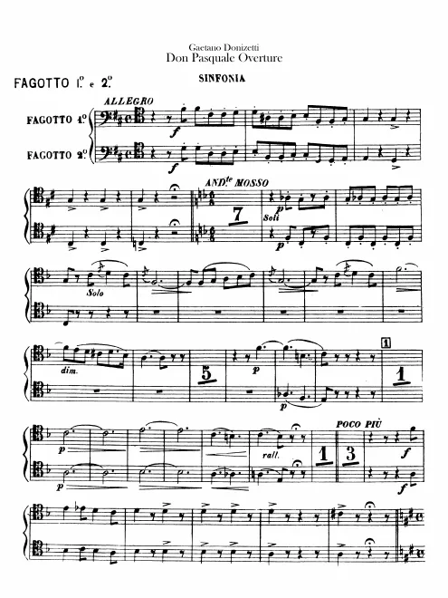 Bassoon 1/2