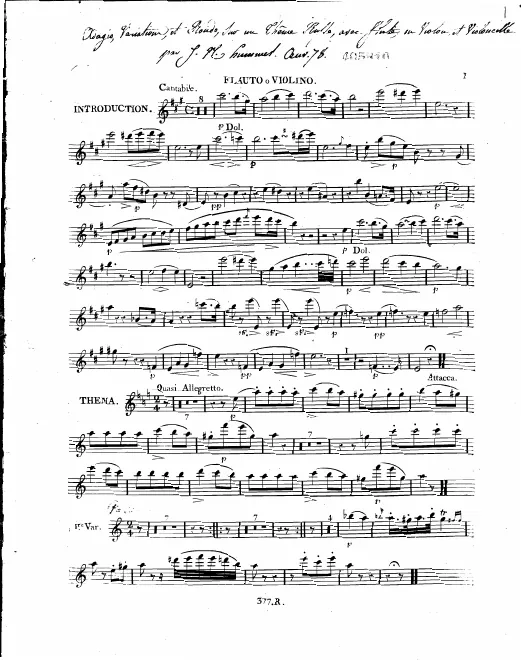 Violin or Flute