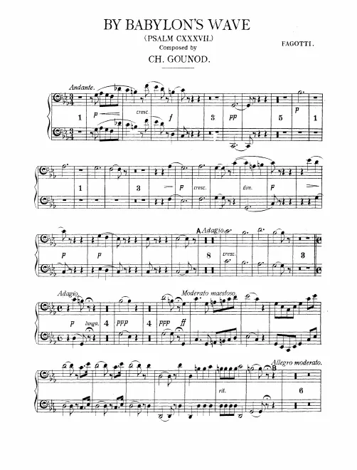 Bassoon 1/2