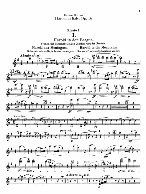 Flute 1
