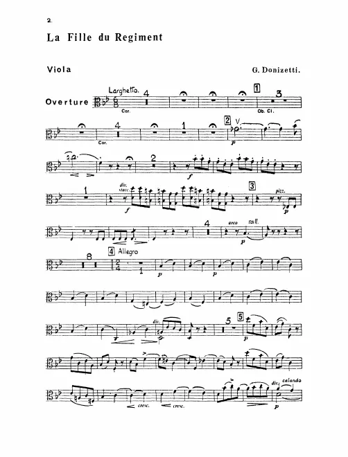 Violas