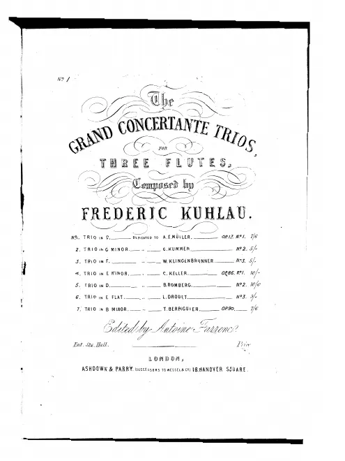 Flute 2