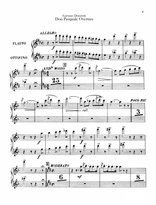 Flute/Piccolo