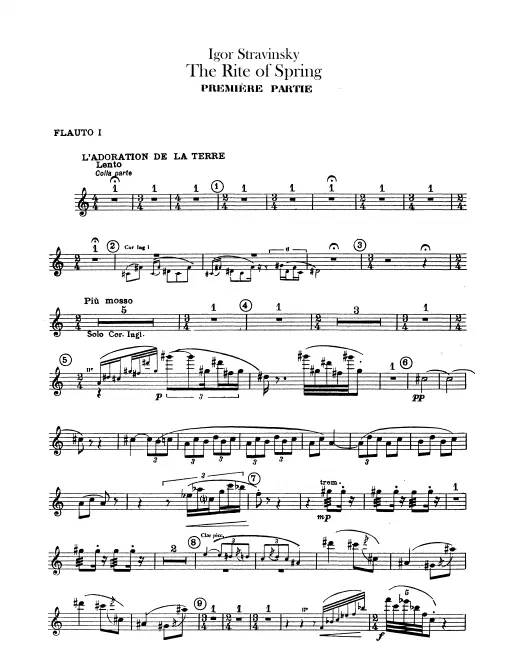 Flute 1