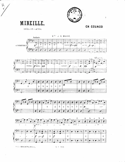Cellos/Basses
