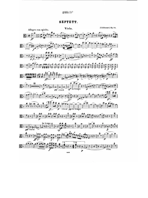 Viola