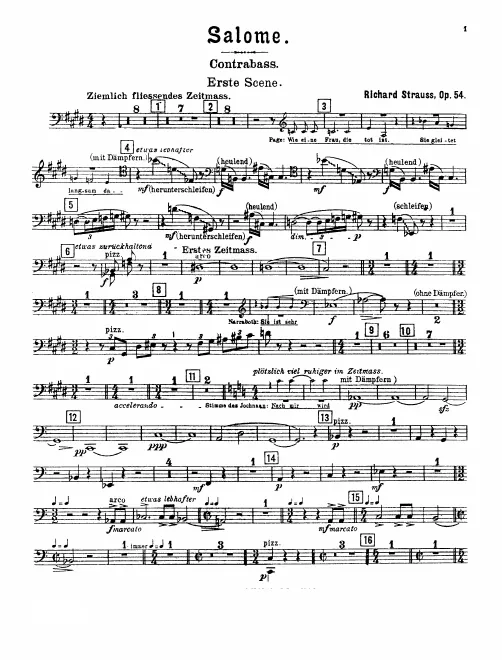 Basses