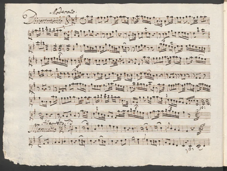 Viola