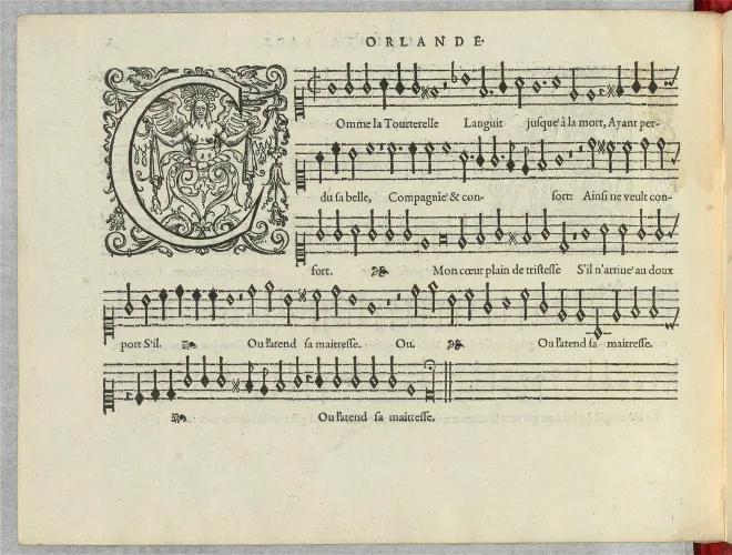 Quintus