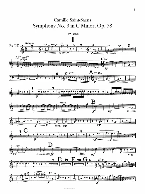 Horn 1 (C/E), 2 (C/E♭)