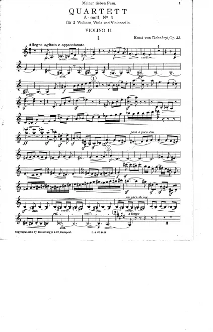Violin 2