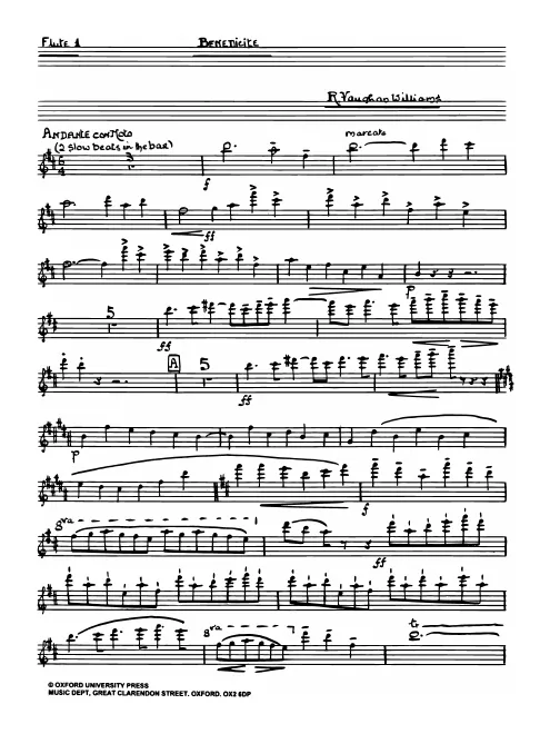 Flute 1